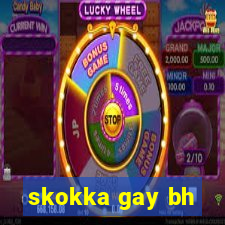 skokka gay bh